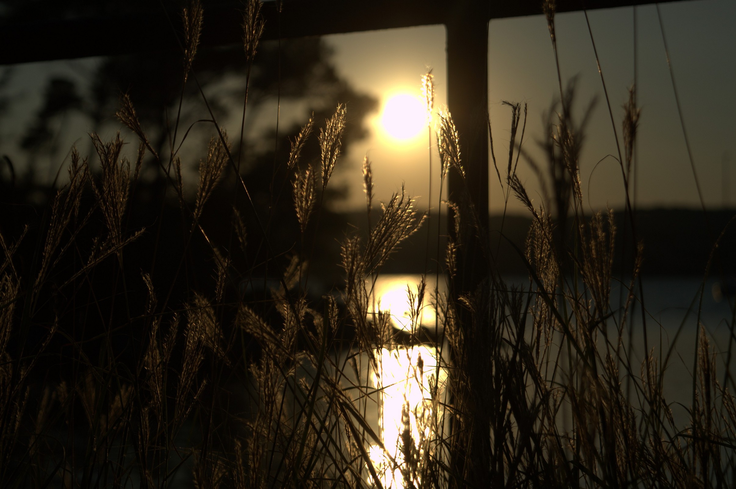 K k 170   dsc 2028   6034 x 4012